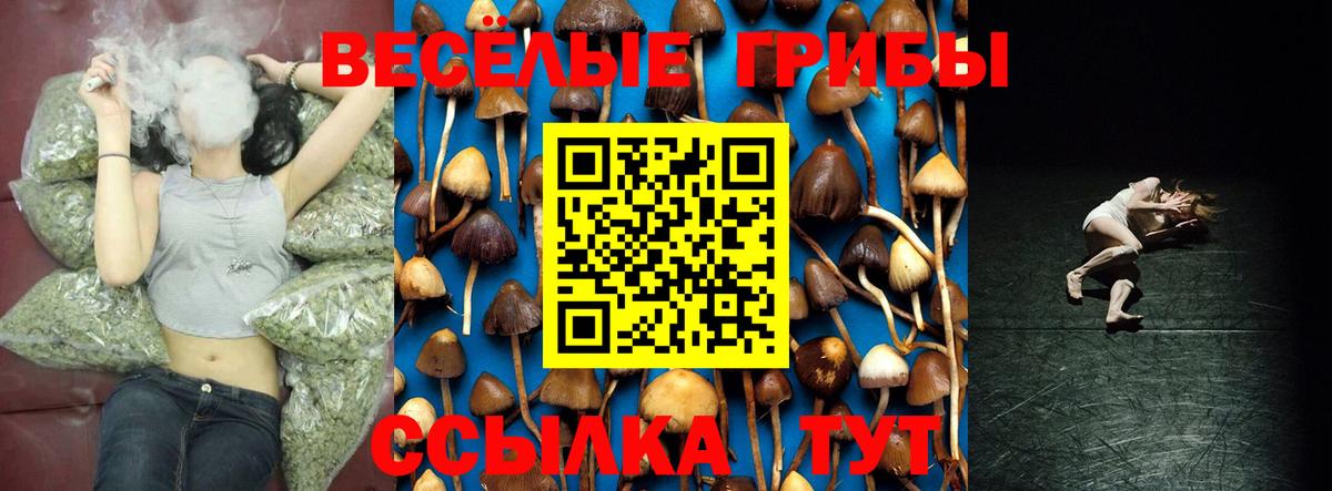Псилоцибиновые грибы Cubensis Краснодар