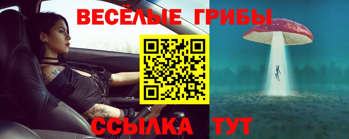 Псилоцибиновые грибы GOLDEN TEACHER  Вход с VPN  Краснодар 